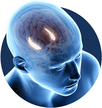 what is Billionaire Brain Wave